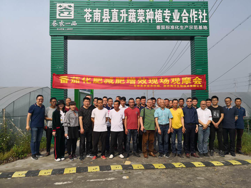 浙農海洋：助力蒼南番茄種植減肥增效