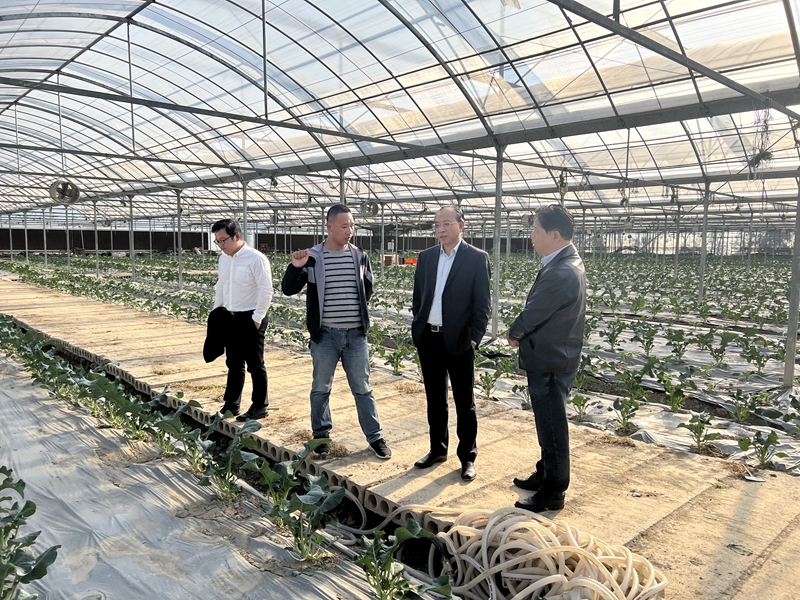 1637809822765294.jpg 13f57f12adf4192898c63f0db1eaf4b_副本.jpg