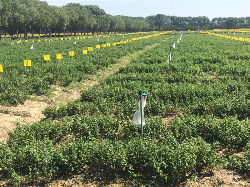 1642068500976854.jpg DCIM(1)_副本.jpg