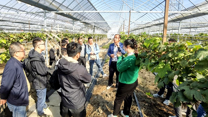 1669356484407380.jpg 圖片1_副本.jpg