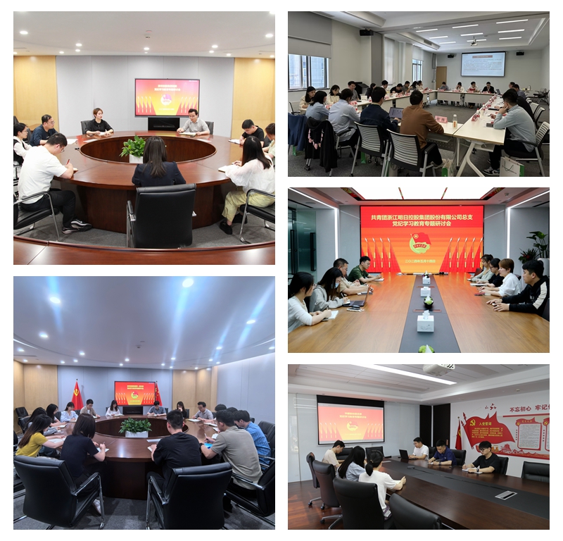 學(xué)黨紀&middot;揚&ldquo;青&rdquo;風(fēng)丨集團組織團員青年開展專題學(xué)習(xí)活動