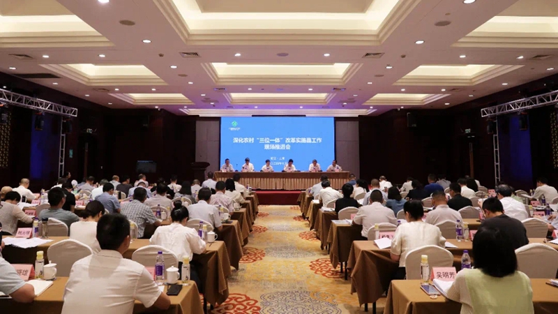 浙江農合積極助力深化農村&ldquo;三位一體&rdquo;改革