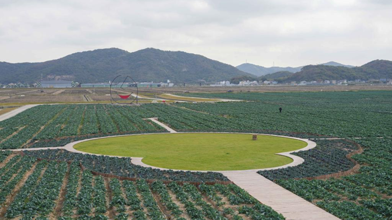 浙農科技岱山運營項目獲人民日報、新華社、央視等主流媒體關注