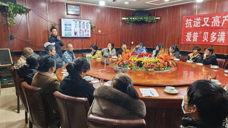 愛普科技在遼寧盤錦舉辦葡萄科學施肥培訓暨產(chǎn)品推廣會